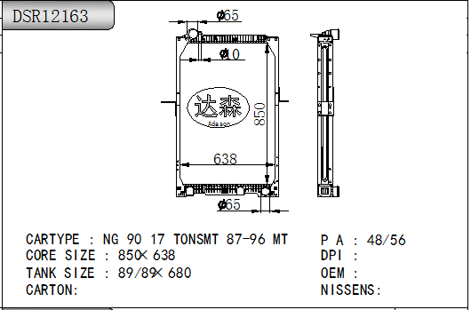 DSR12163