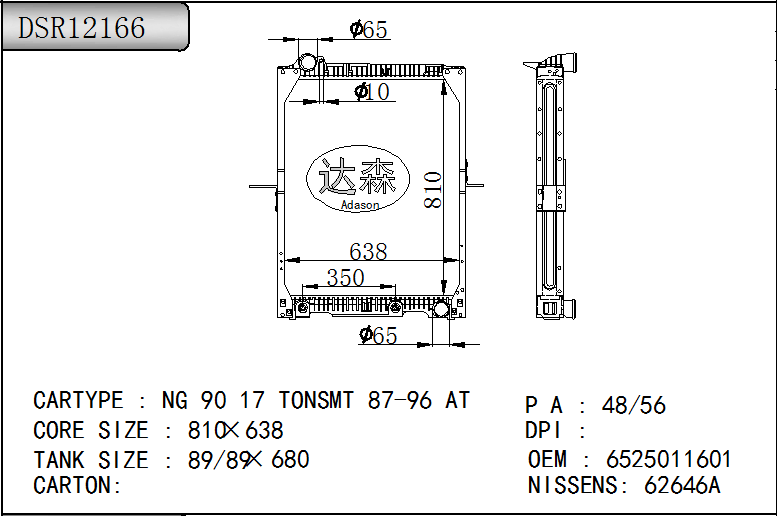 DSR12166