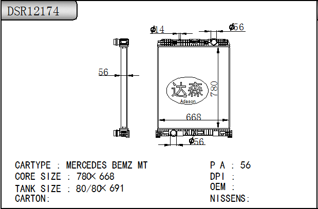 DSR12174