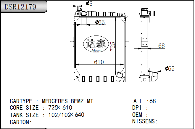 DSR12179