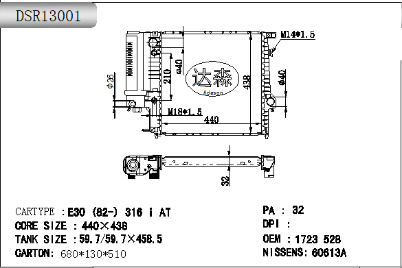 DSR13001