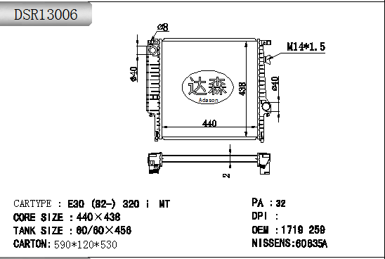 DSR13006