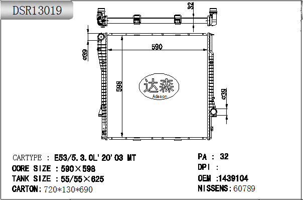 DSR13019