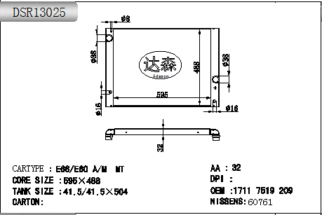 DSR13025