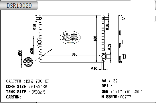 DSR13029
