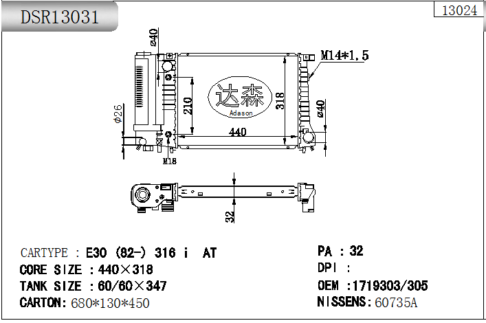 DSR13031
