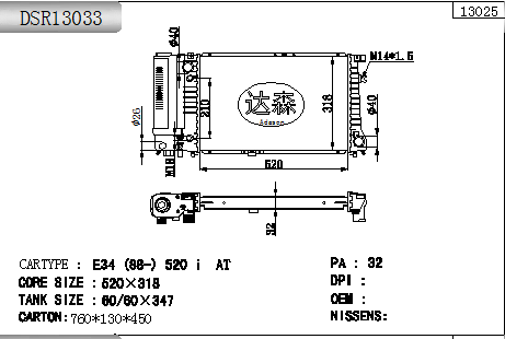 DSR13033