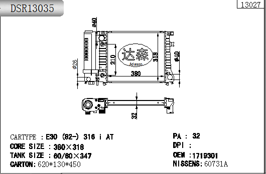DSR13035