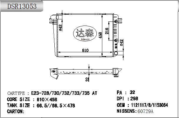 DSR13053
