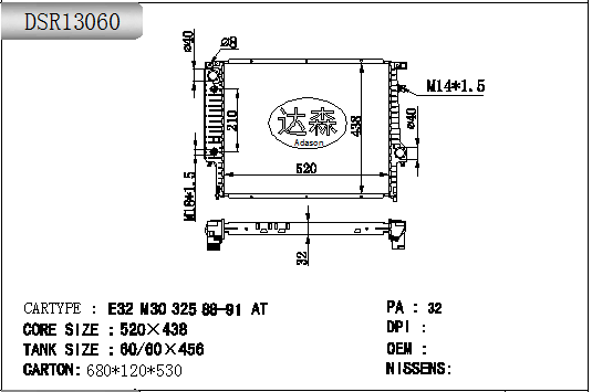 DSR13060