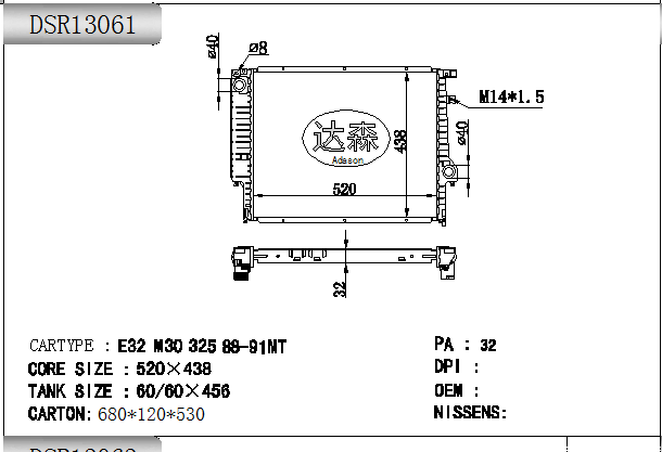 DSR13061