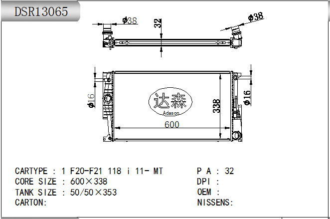 DSR13065