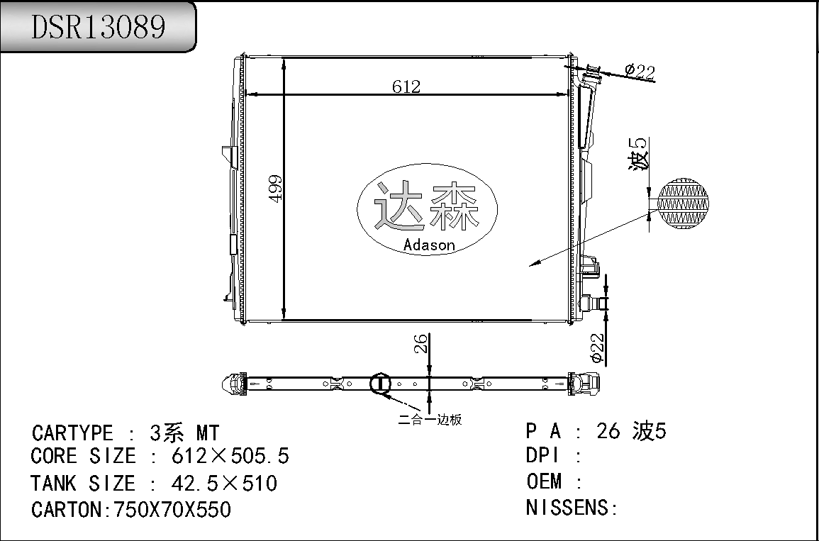 DSR13089
