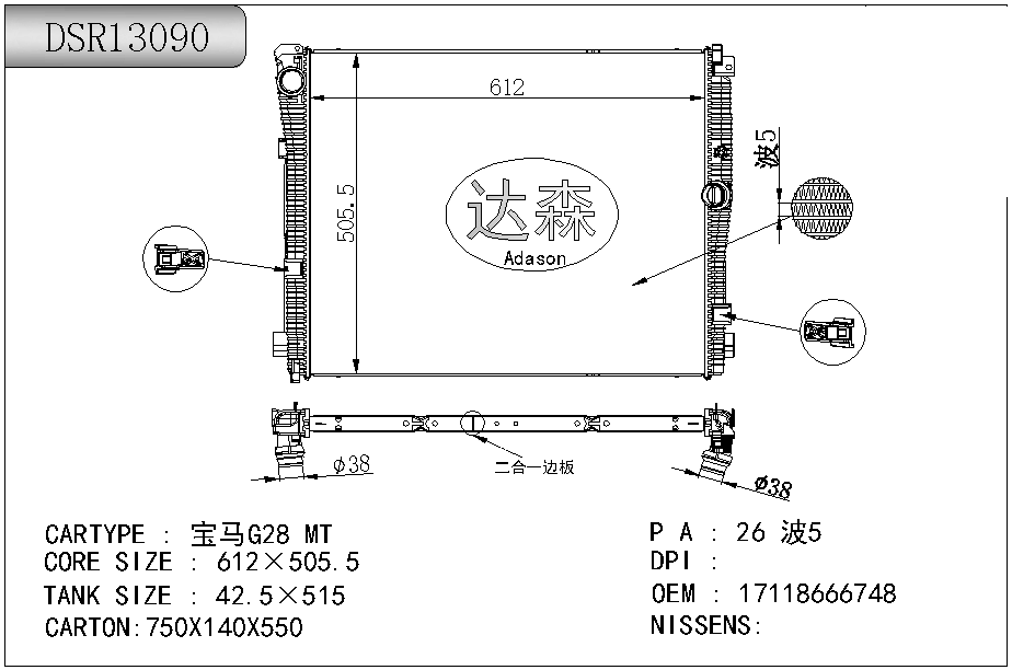 DSR13090