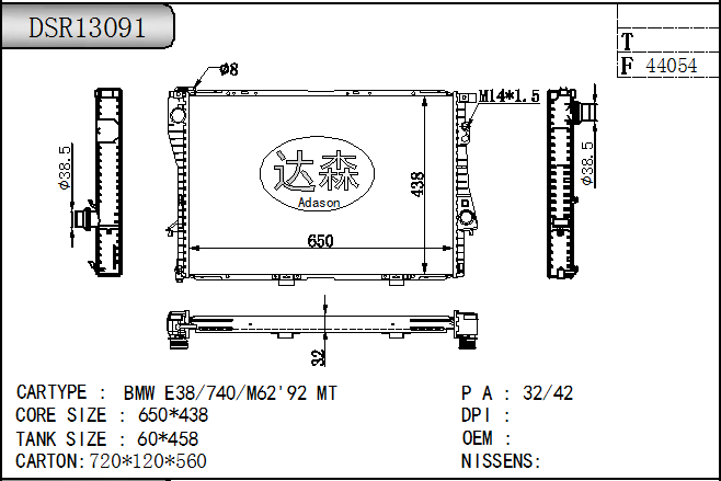 DSR13091