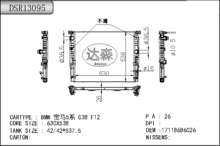 DSR13095