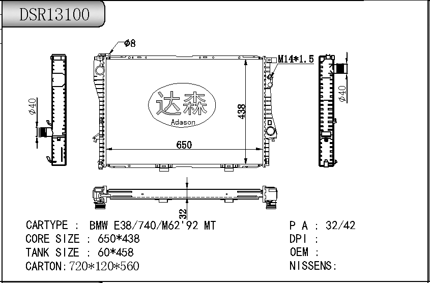 DSR13100