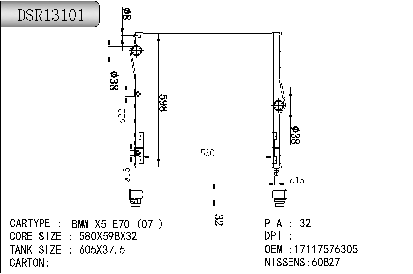 DSR13101