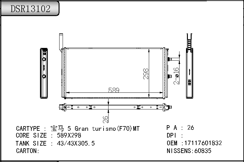 DSR13102