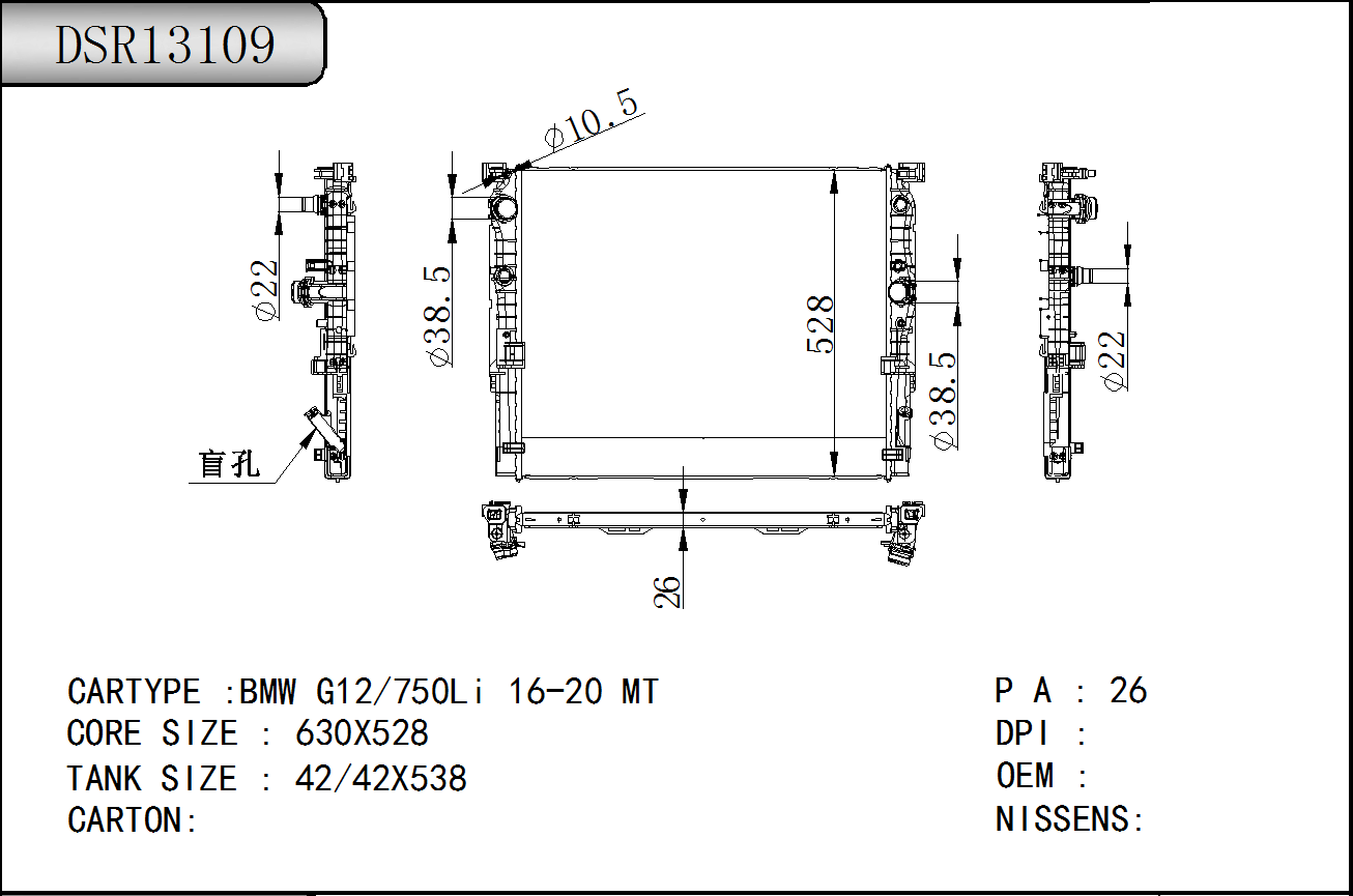 DSR13109