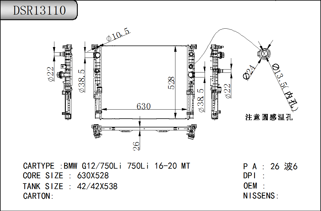 DSR13110