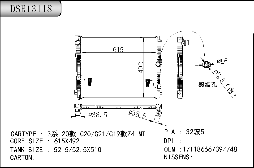 DSR13118