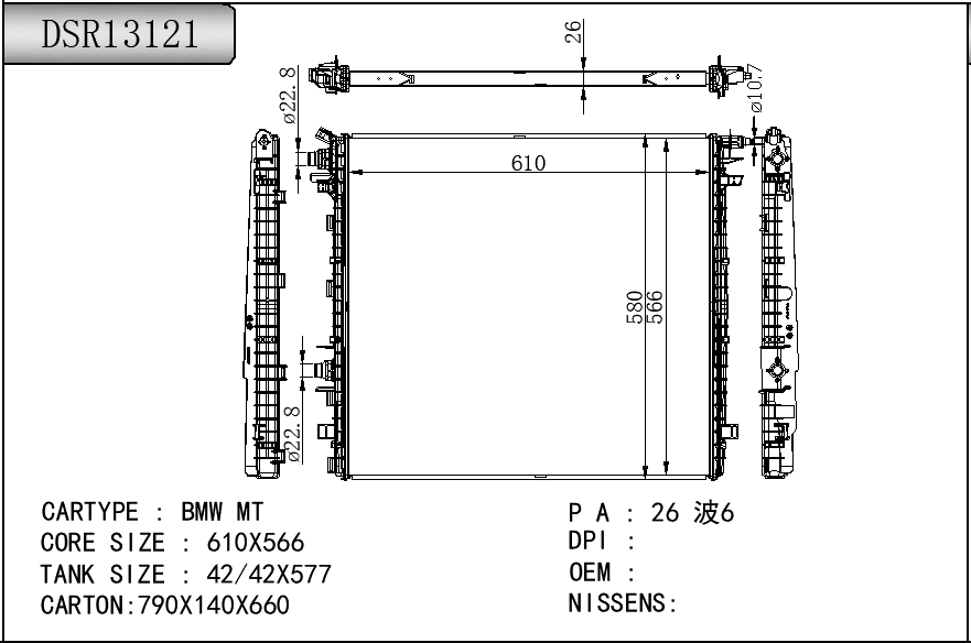 DSR13121