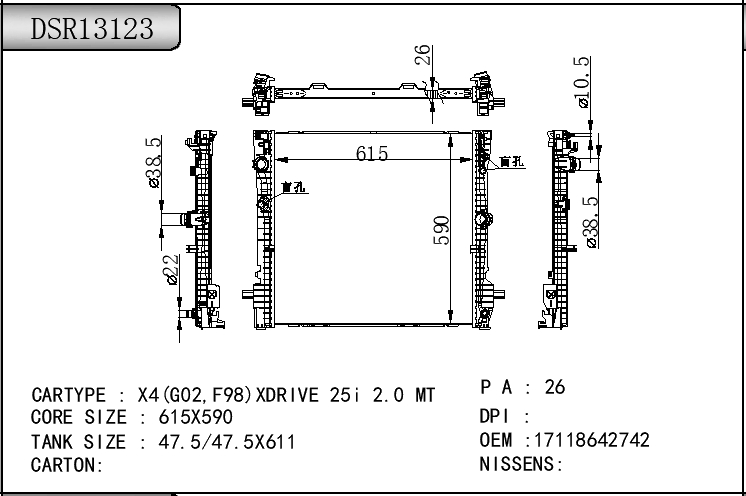 DSR13123