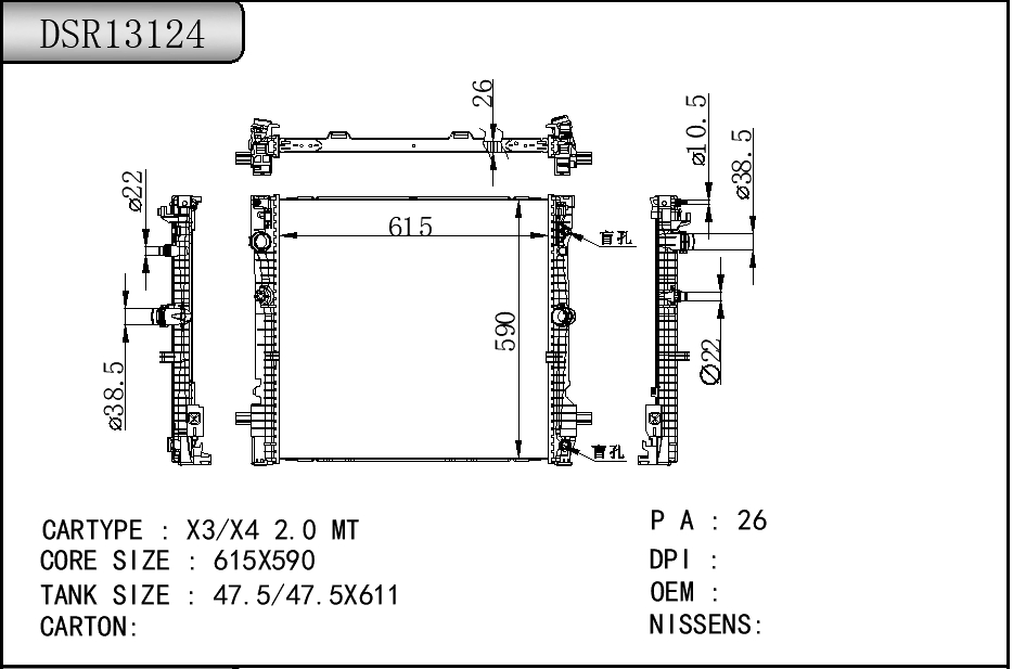 DSR13124