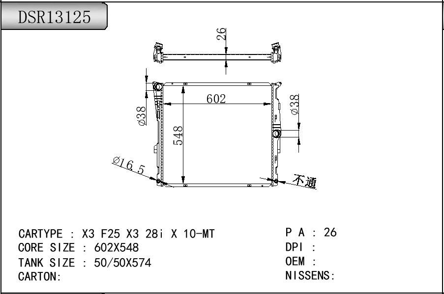 DSR13125