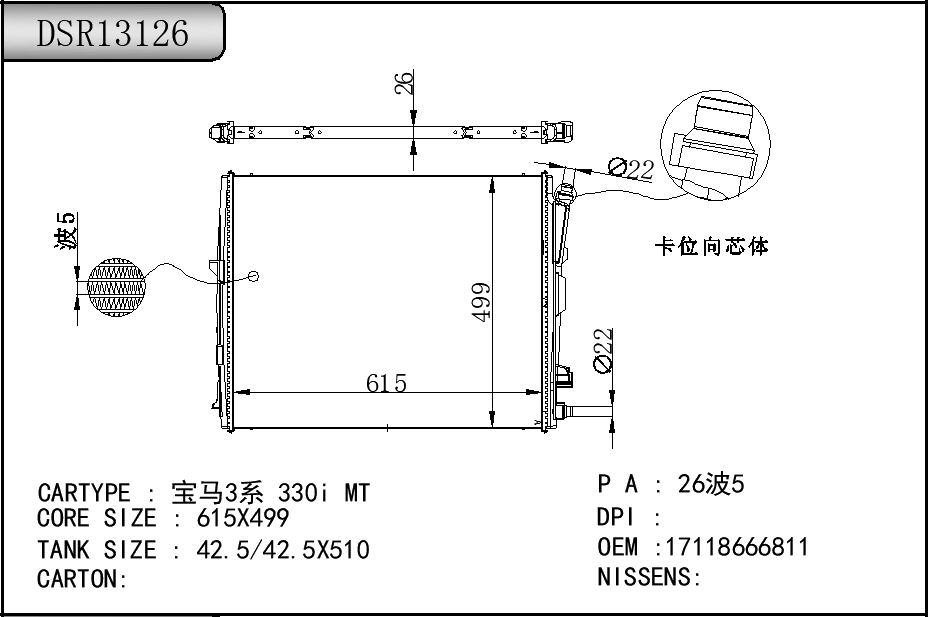 DSR13126