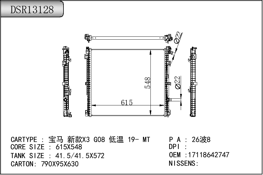 DSR13128
