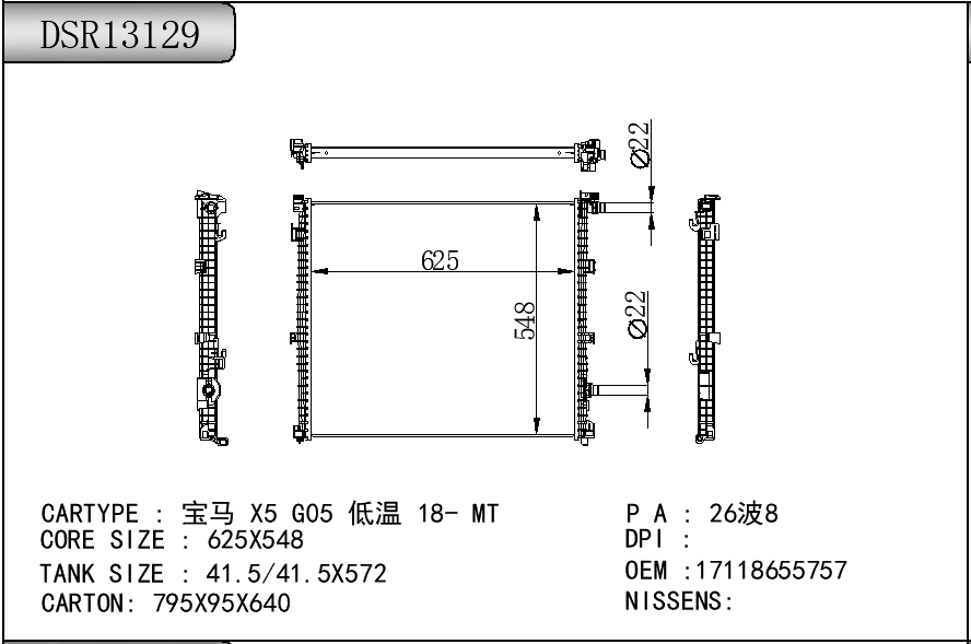DSR13129