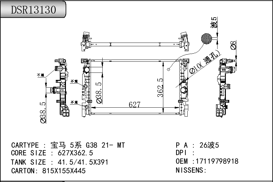 DSR13130