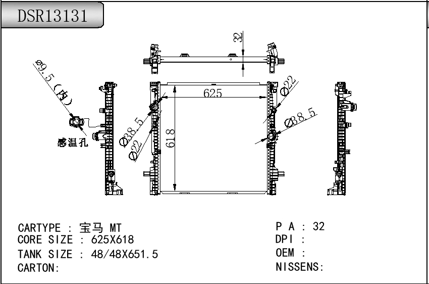 DSR13131