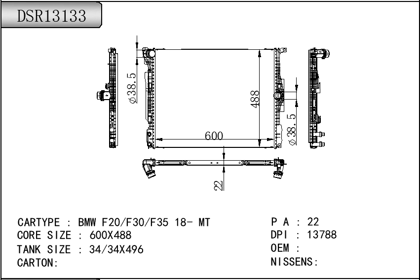 DSR13133