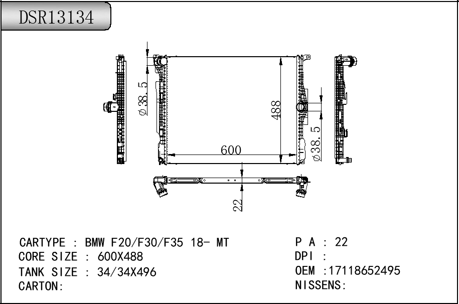 DSR13134