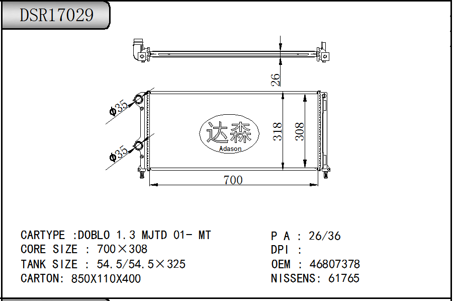 DSR17029