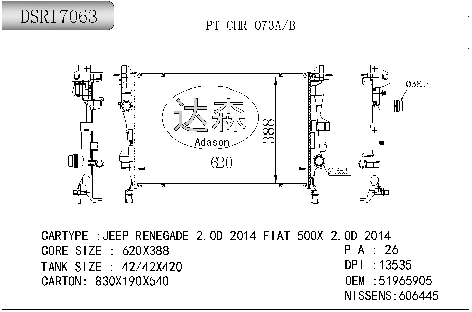 DSR17063