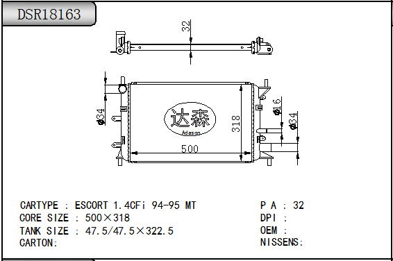 DSR18163