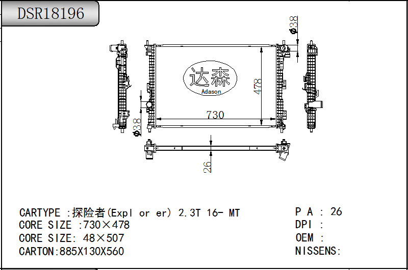 DSR18196