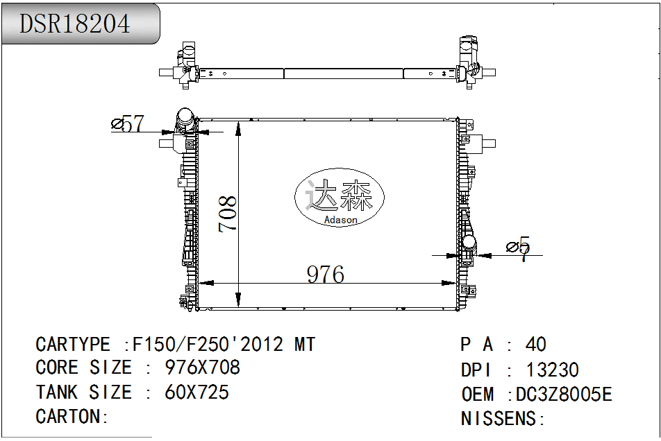 DSR18204