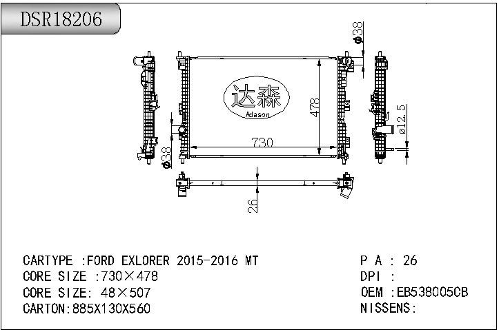 DSR18206