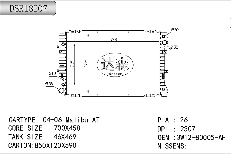 DSR18207