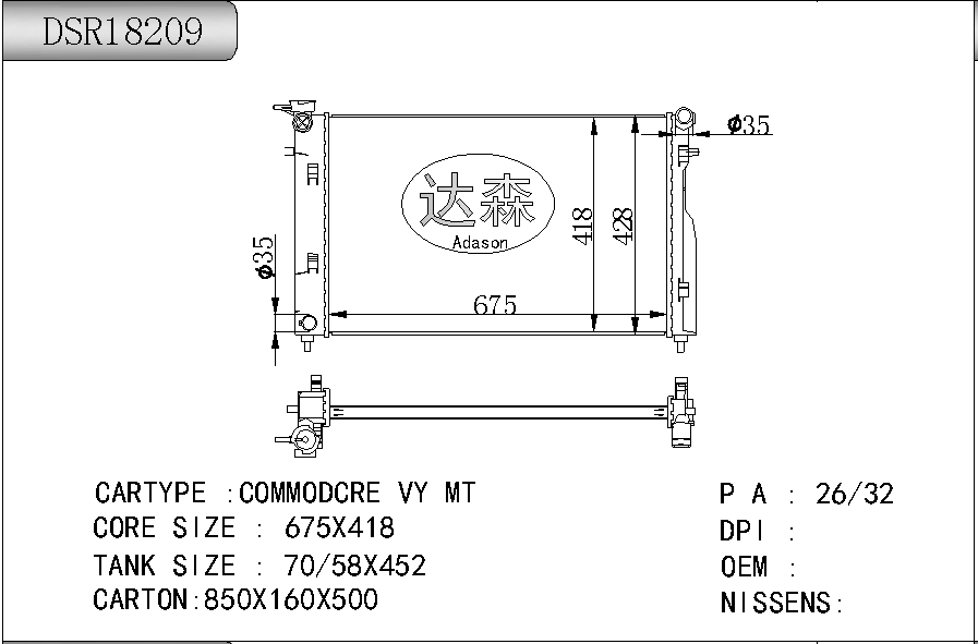DSR18209