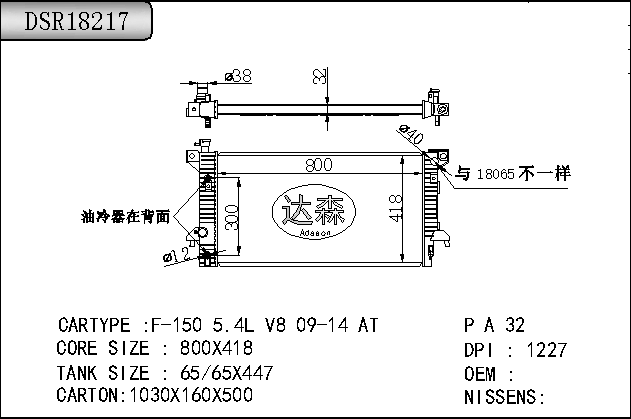 DSR18217
