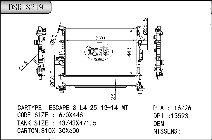 DSR18219