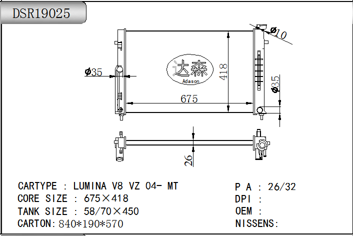 DSR19025