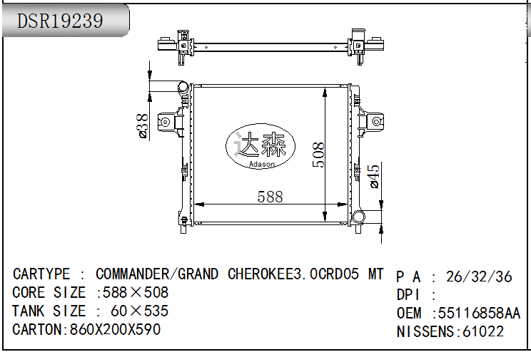 DSR19239