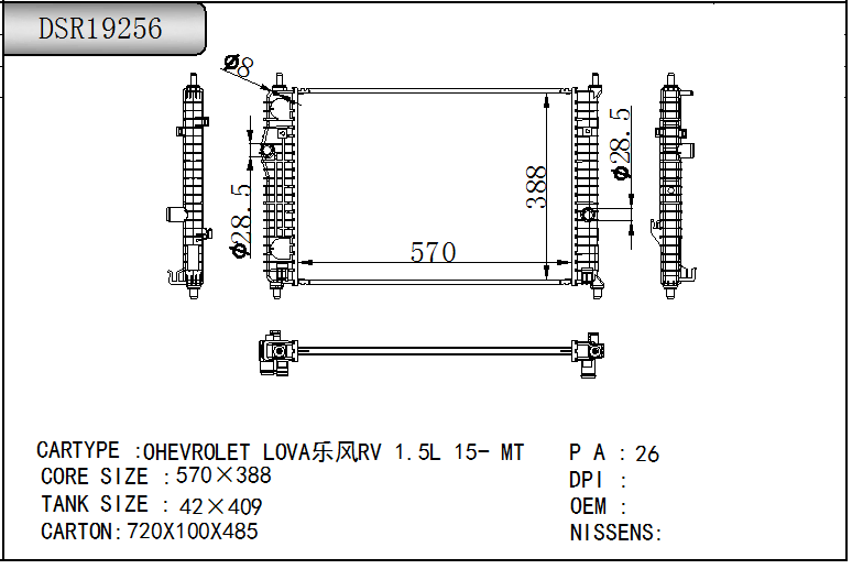 DSR19256